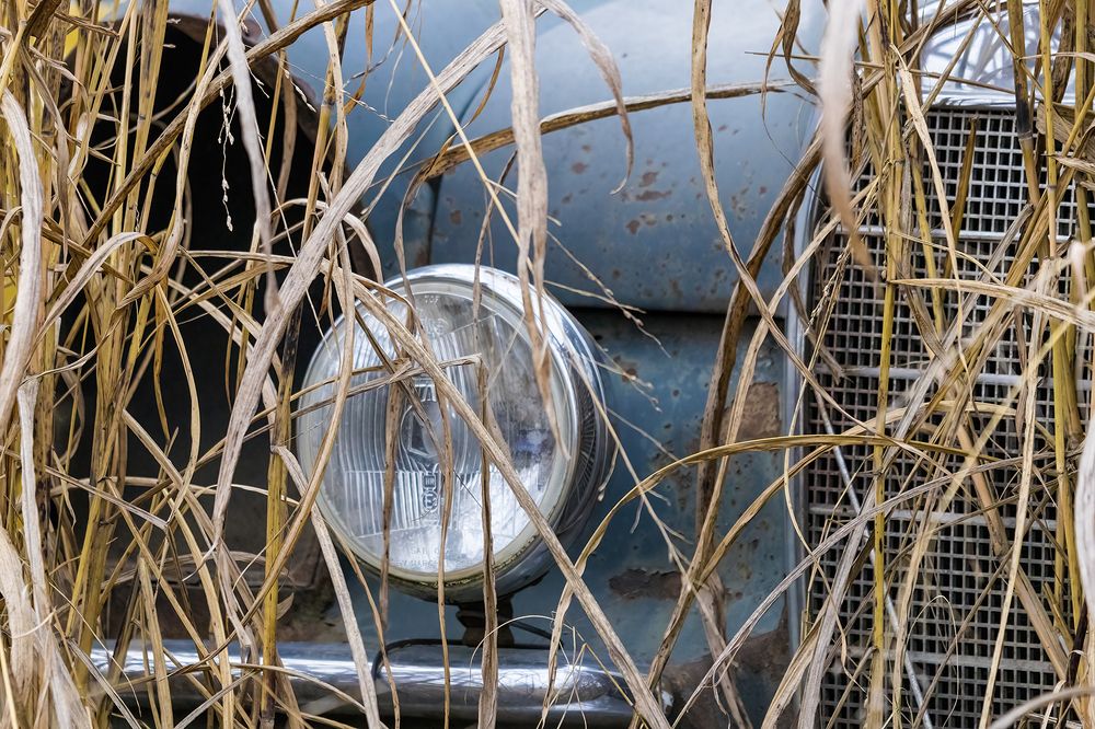 Photograph by Sajkovski Dejan