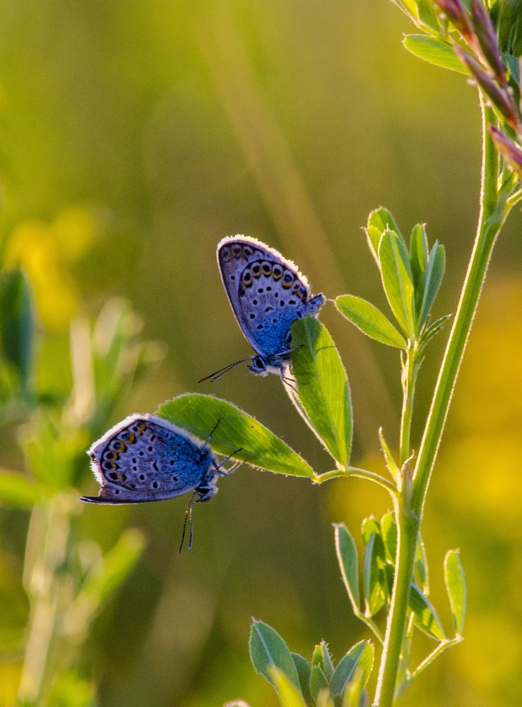 Photograph by Татьяна Титова
