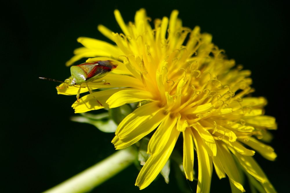 Photograph by Alexandr Bushmelev