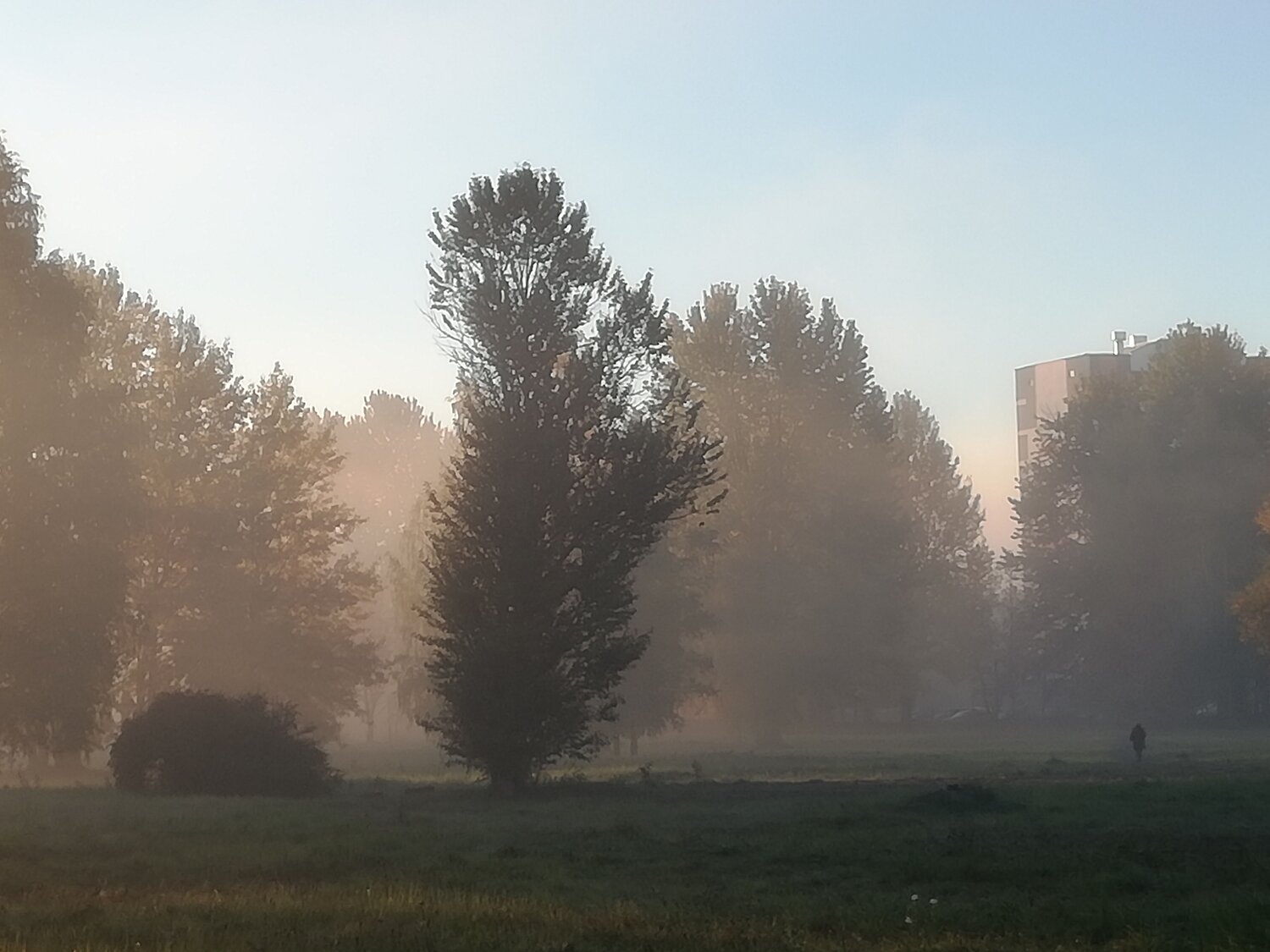 Photo #9182557