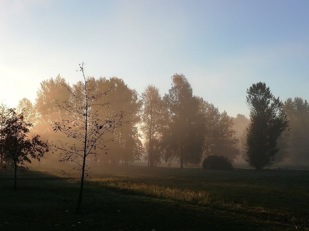 Photo #9182566