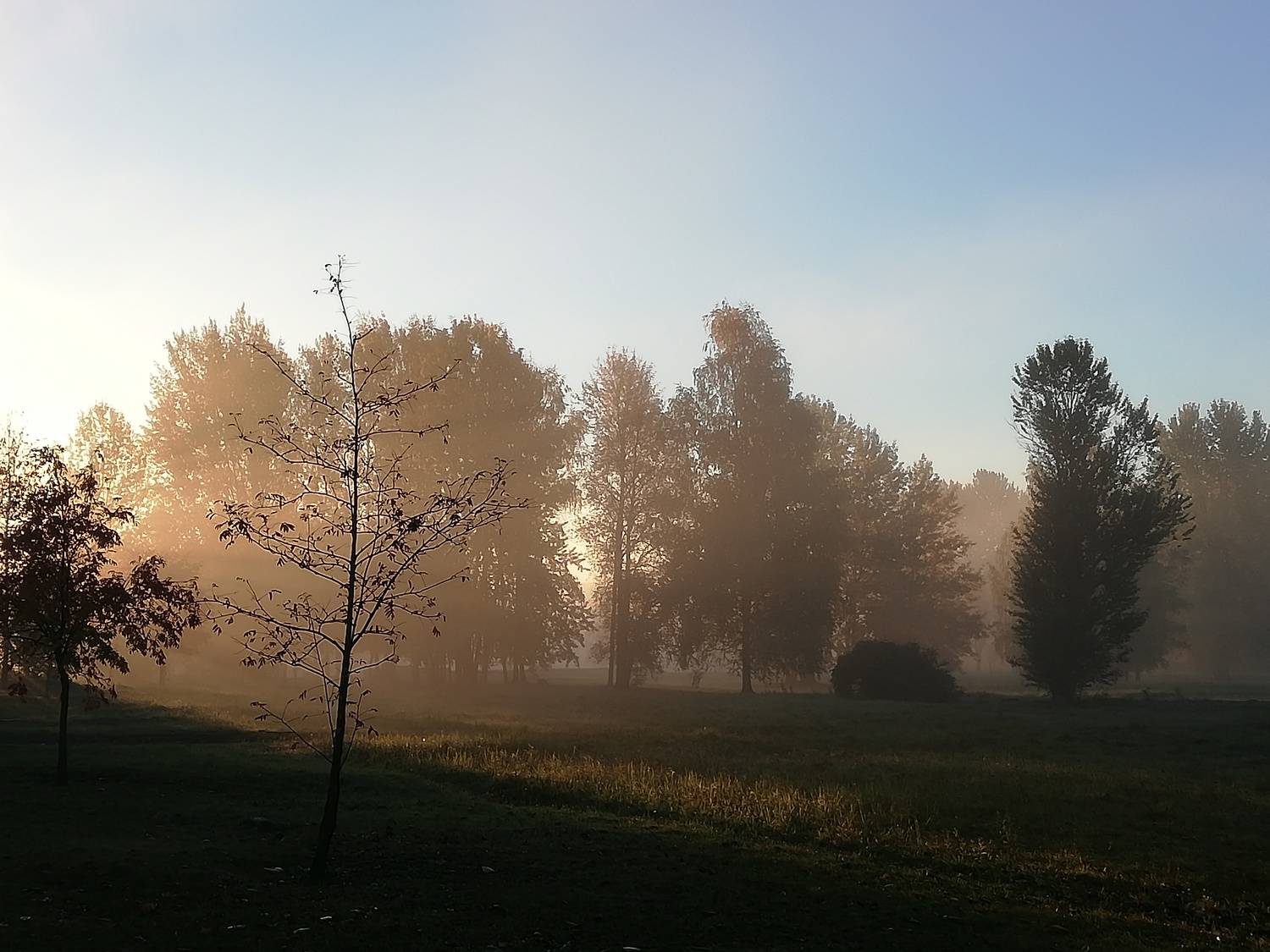Photo #9182566