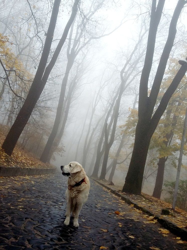 Photograph by Светлана Соколова