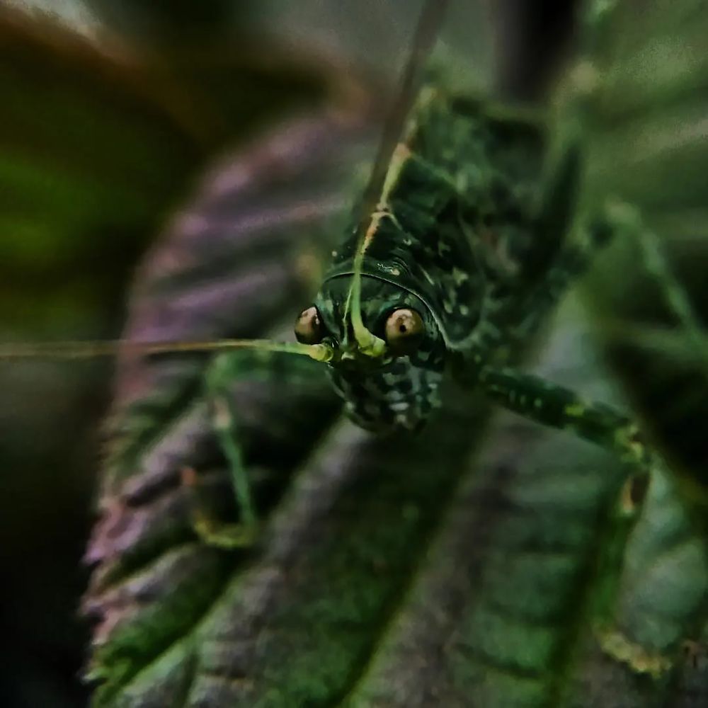 Фотография автора Jose Marcos Carvajal Tarazona
