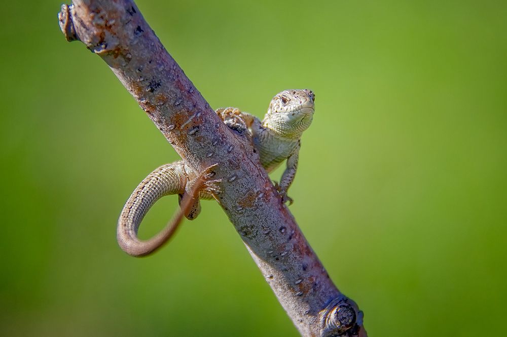 Photograph by Алексей Трифонов