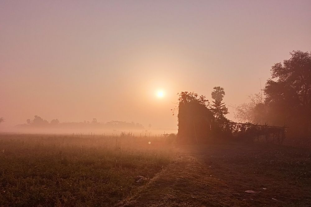 Photo #9182867