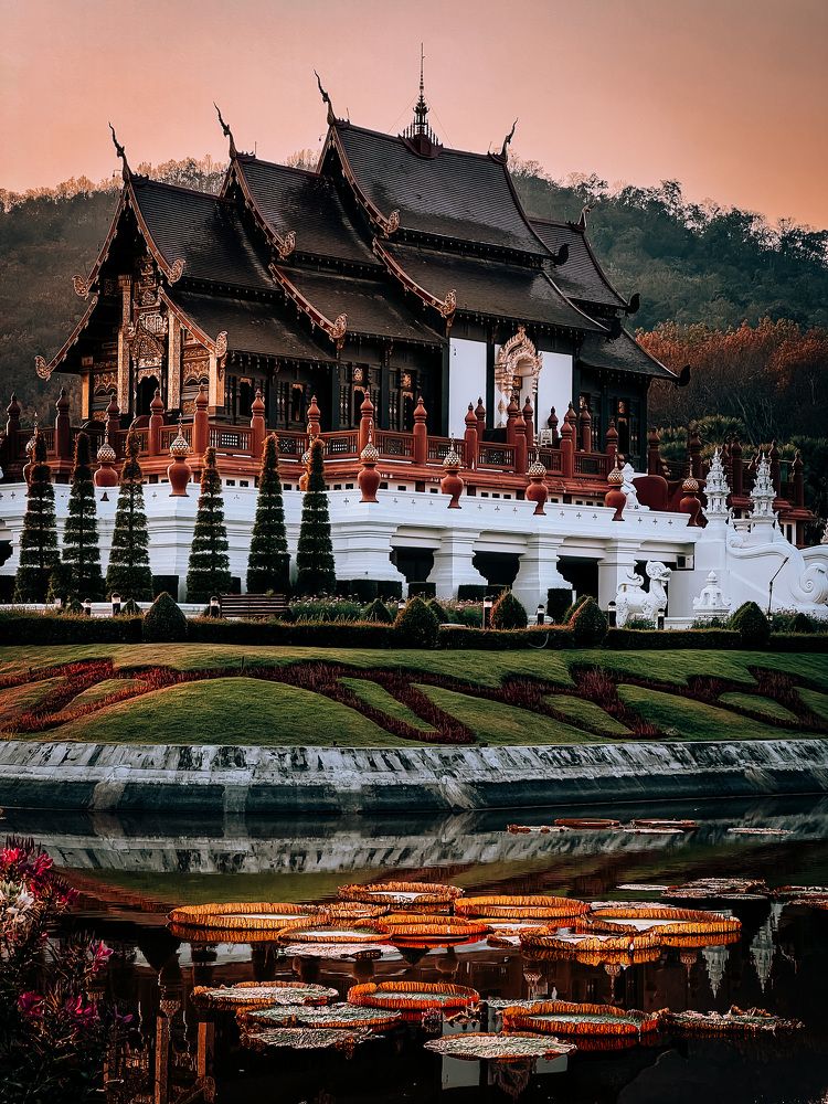 Water lilies on the lake at Wat Phantao