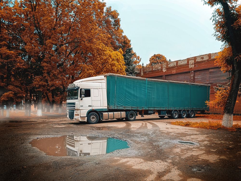 Photograph by Галина Литвинова