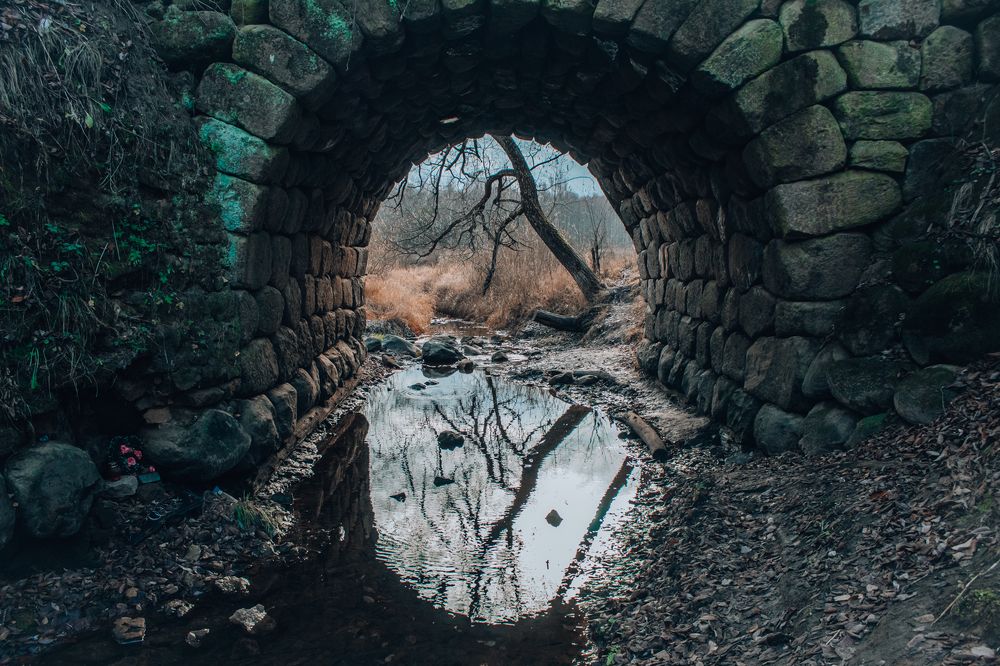 Photograph by Александр Щедрин