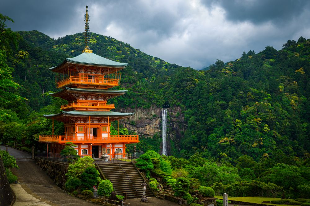 Фотография автора Martin Kovács