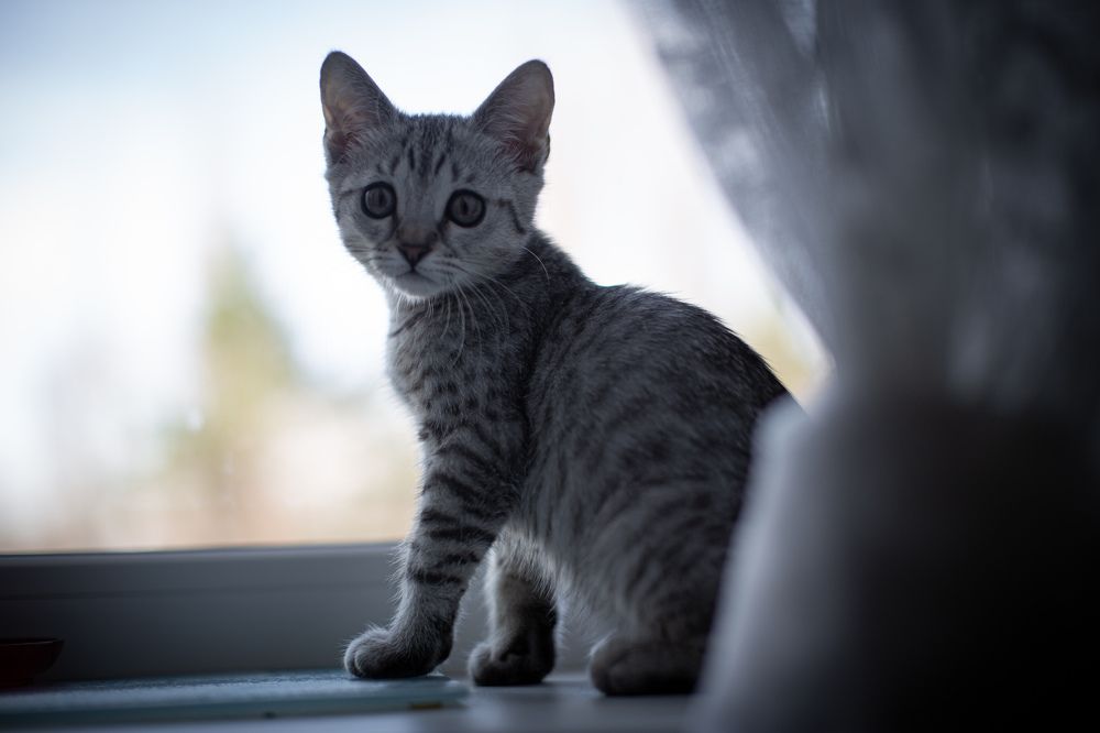 Photograph by Андрей Мещеряков