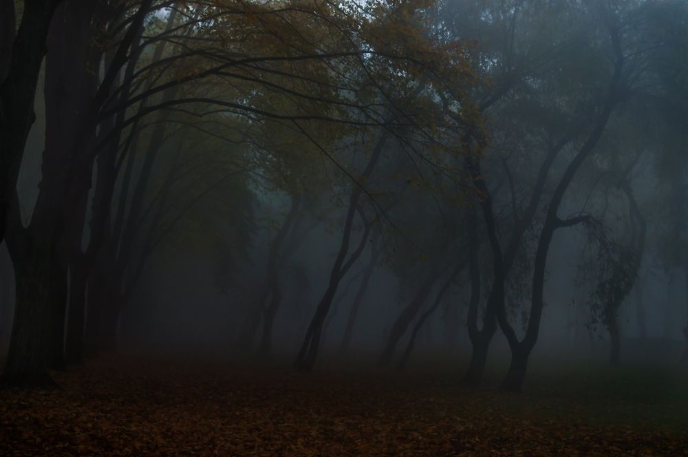 Photograph by Анастасия