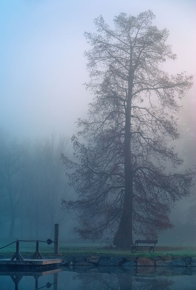 Photograph by Ожерельев Андрей