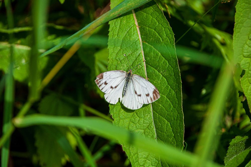 Photograph by Денис Кичев