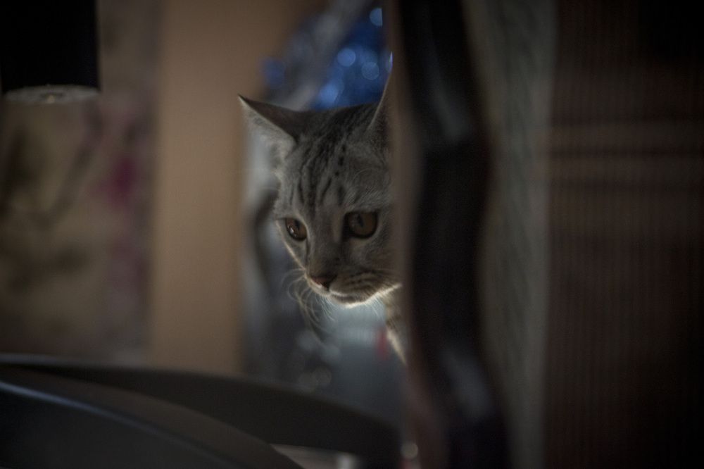 Photograph by Андрей Мещеряков