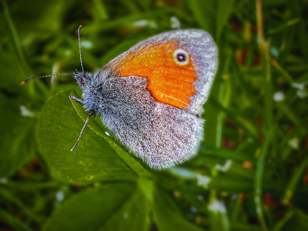 Photograph by Konstantin Martynov