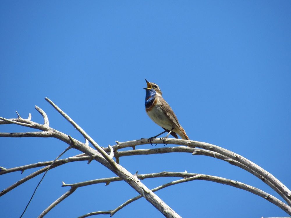 Photograph by Денис Веску