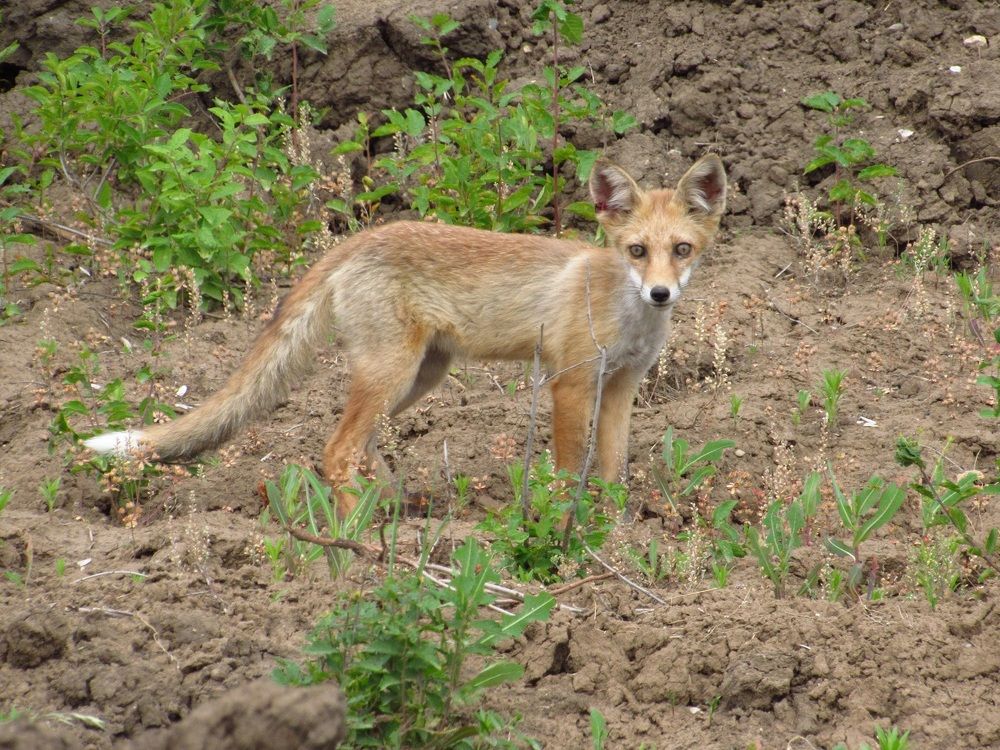 Photograph by Денис Веску