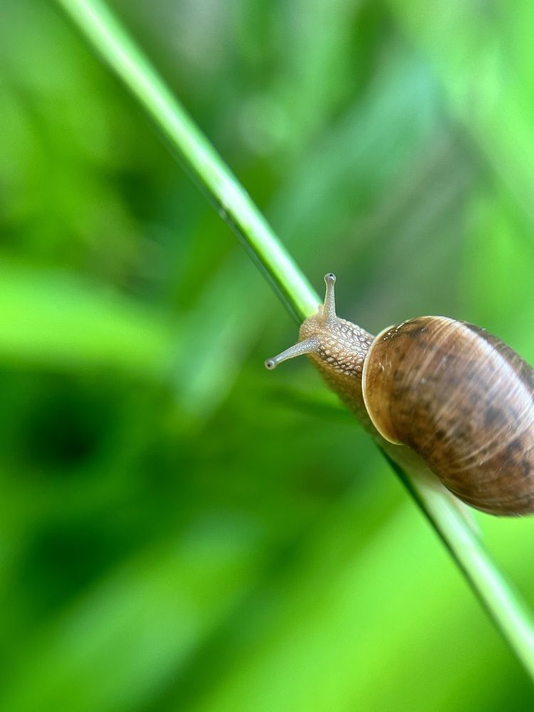 Photograph by Мария