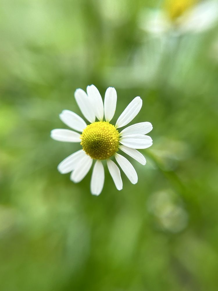 Photograph by Мария