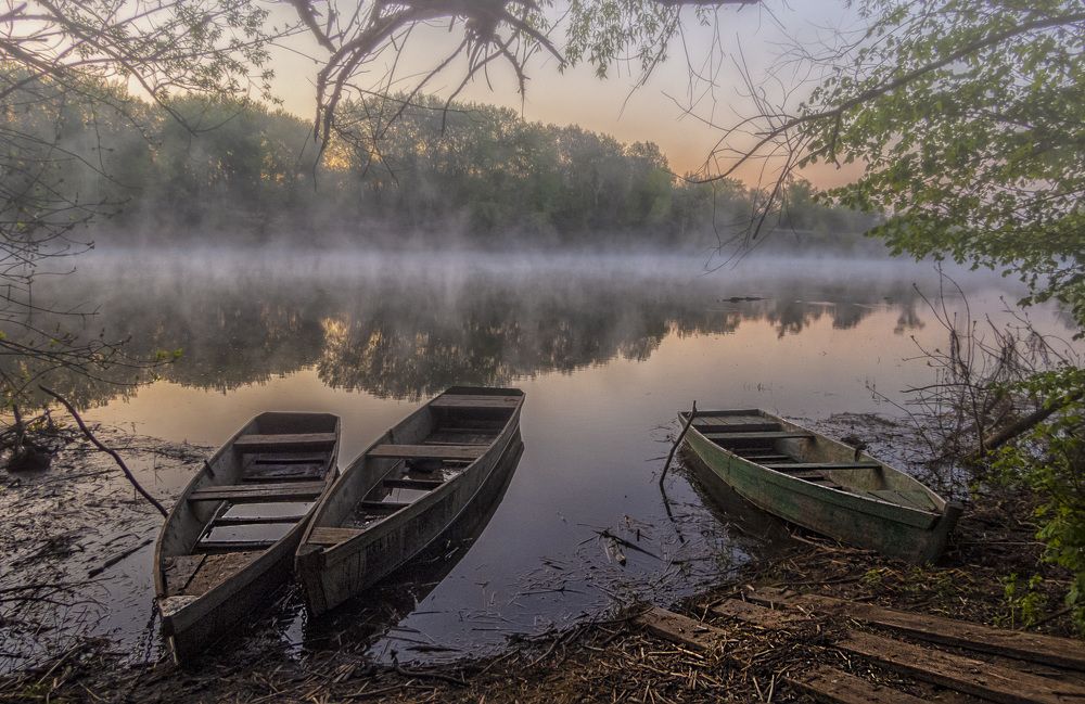 Photograph by Цветков Сергей