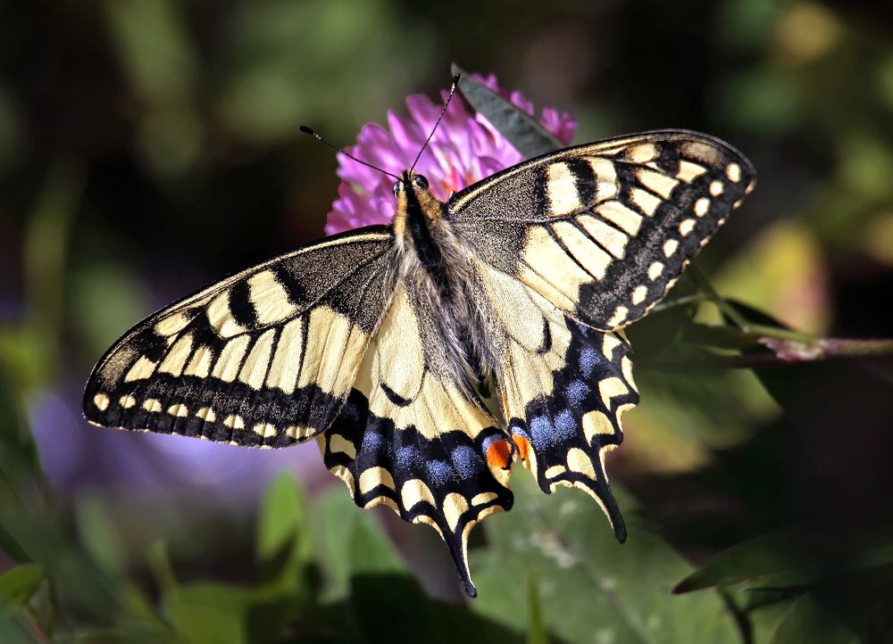 Photograph by Владимир Архипов