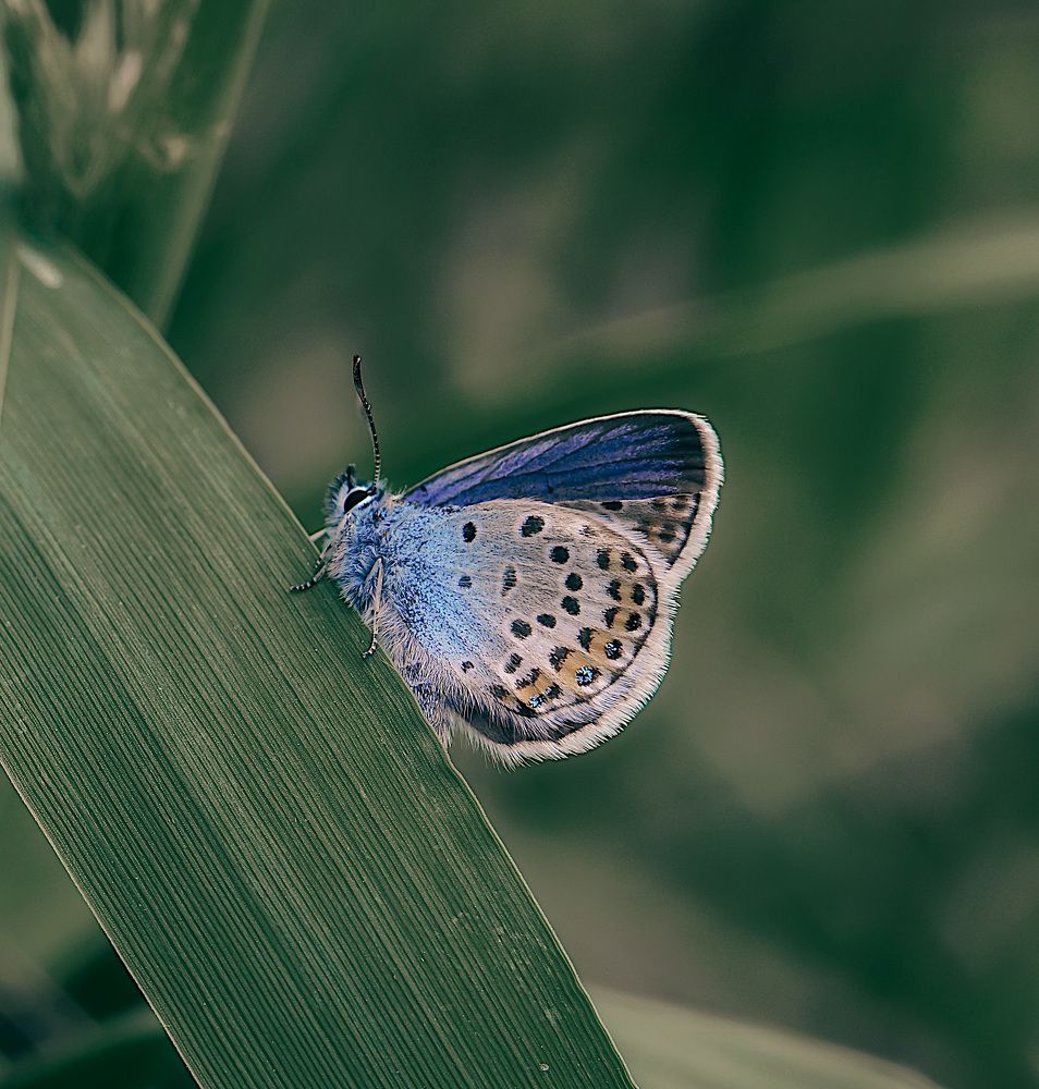 Photograph by Анастасия Чушкова