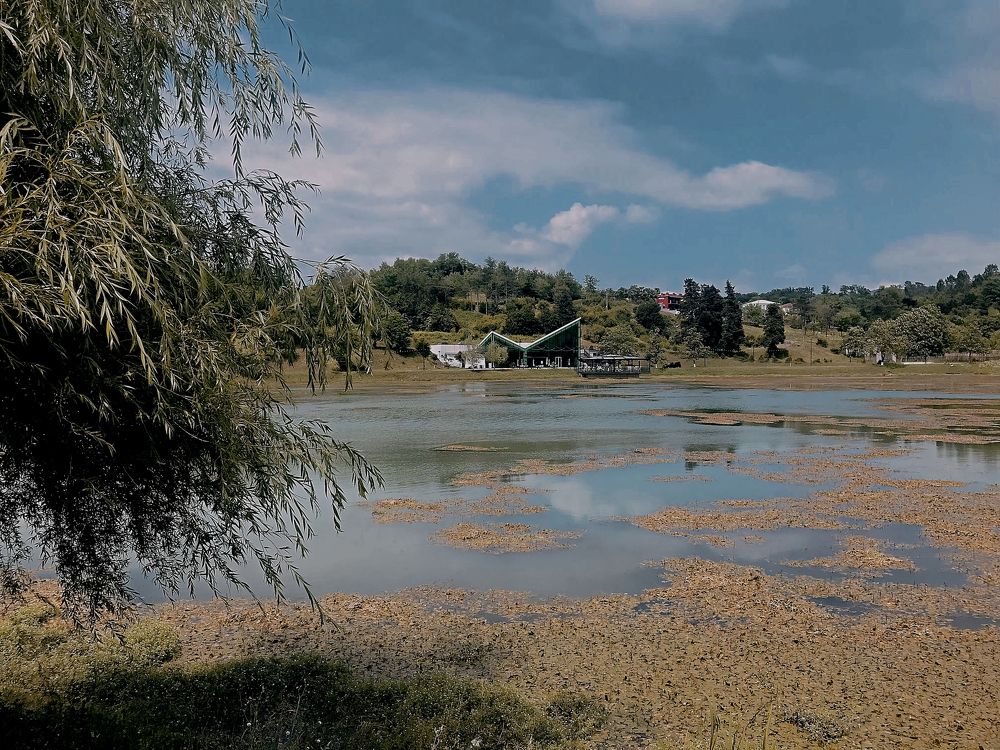 Photograph by рамаз хонелидзе