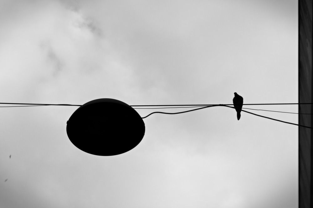 Photograph by Sema Salman