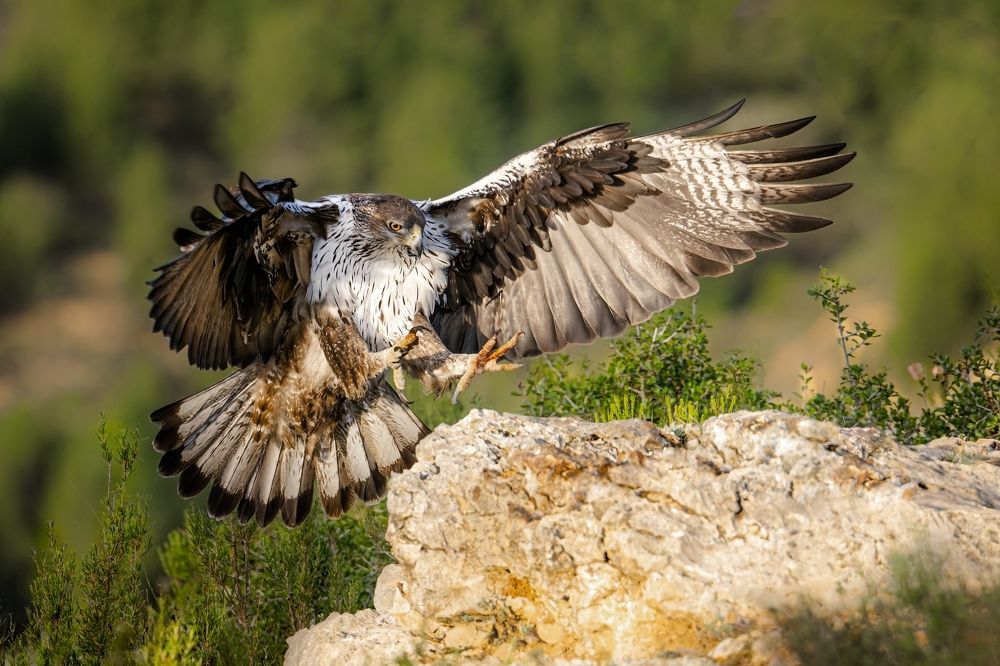 Photograph by Ibrahimi Ruzhdi