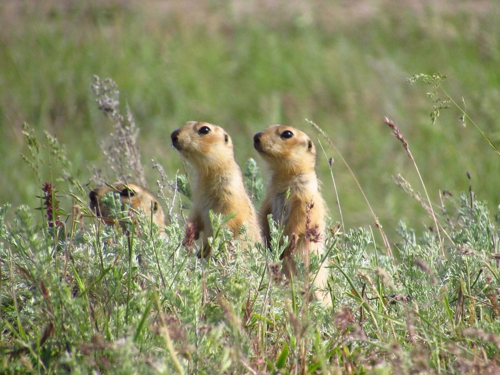 Photograph by Денис Веску