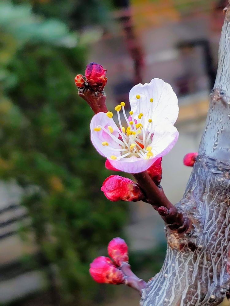 Photograph by Radoslav Stefanov