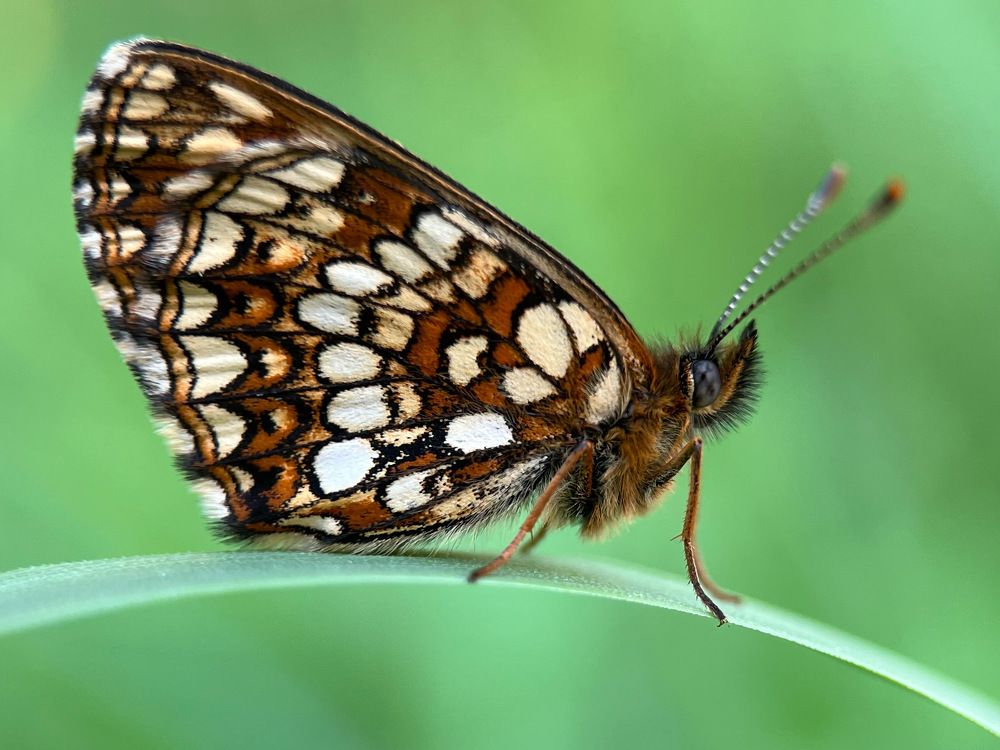 Photograph by Юлия Отставнова