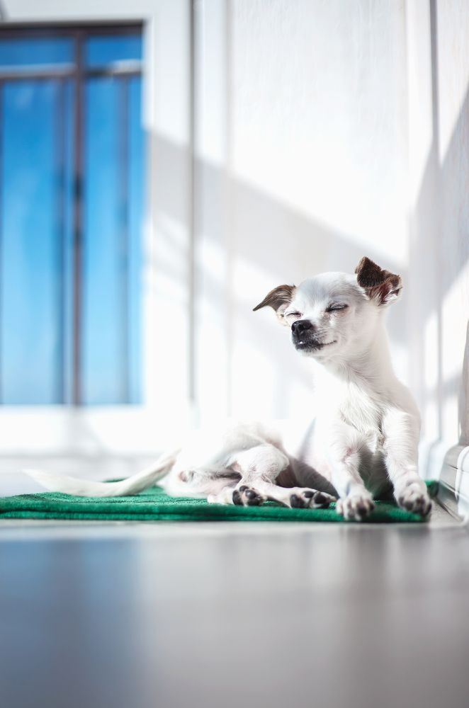 Photograph by Андрей Данилов