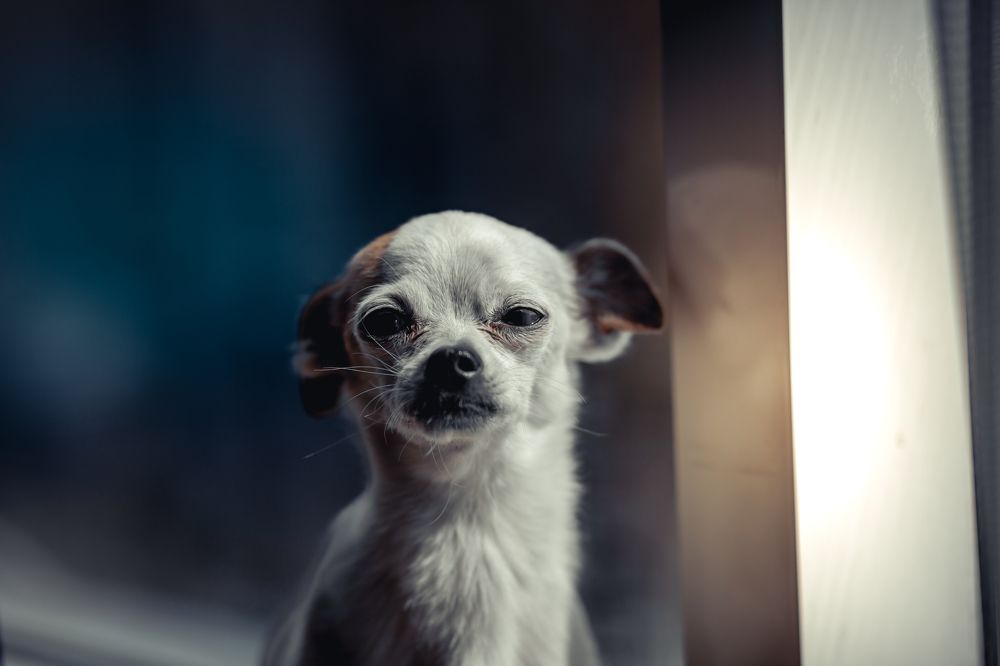 Photograph by Андрей Данилов