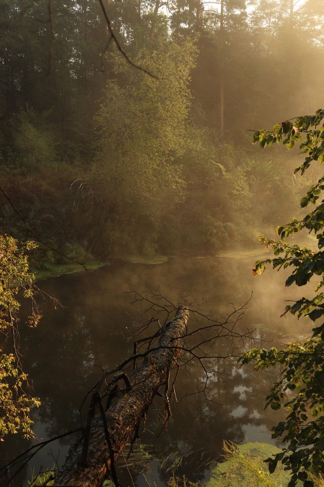 Photograph by Дарья Гаврилова