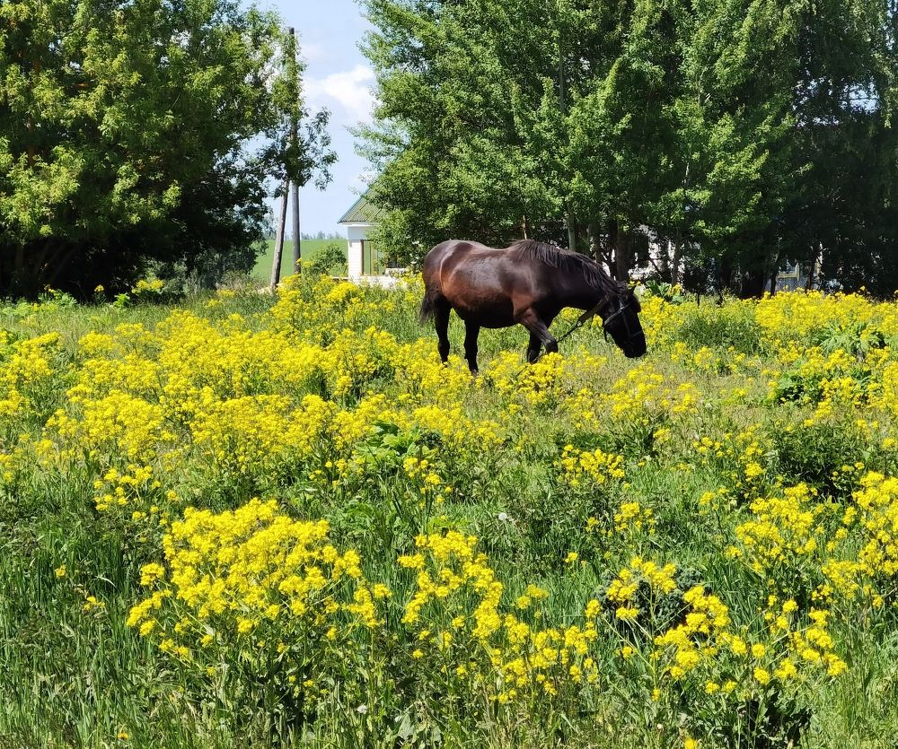 Photograph by Филоненко Николай