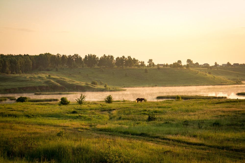 Photograph by Елена