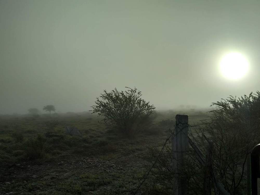 Photo #9183661