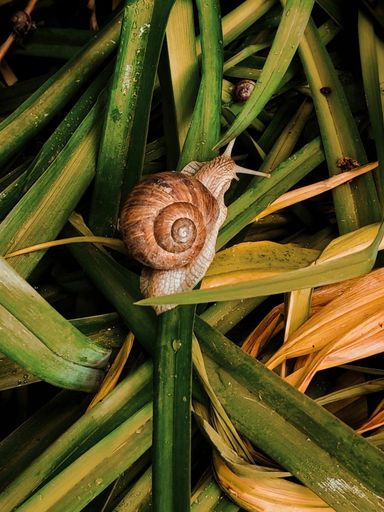 Photograph by Анна Будигай