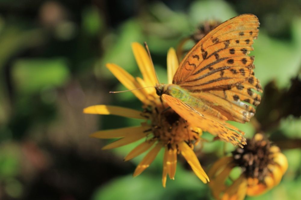 Photograph by Антон Иванов