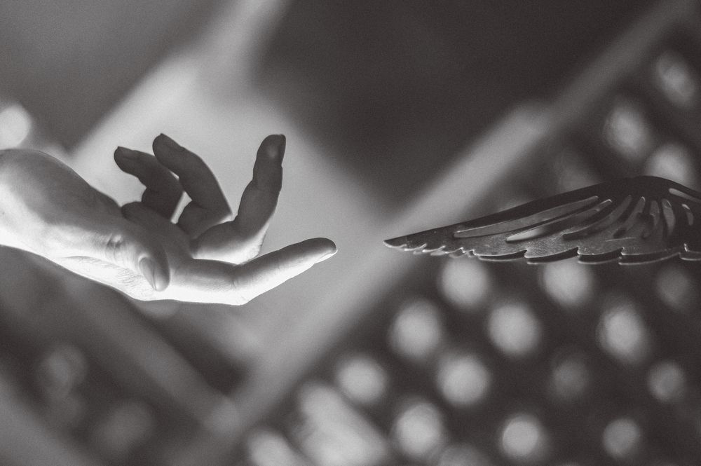 Photograph by Дмитрий Никитенко
