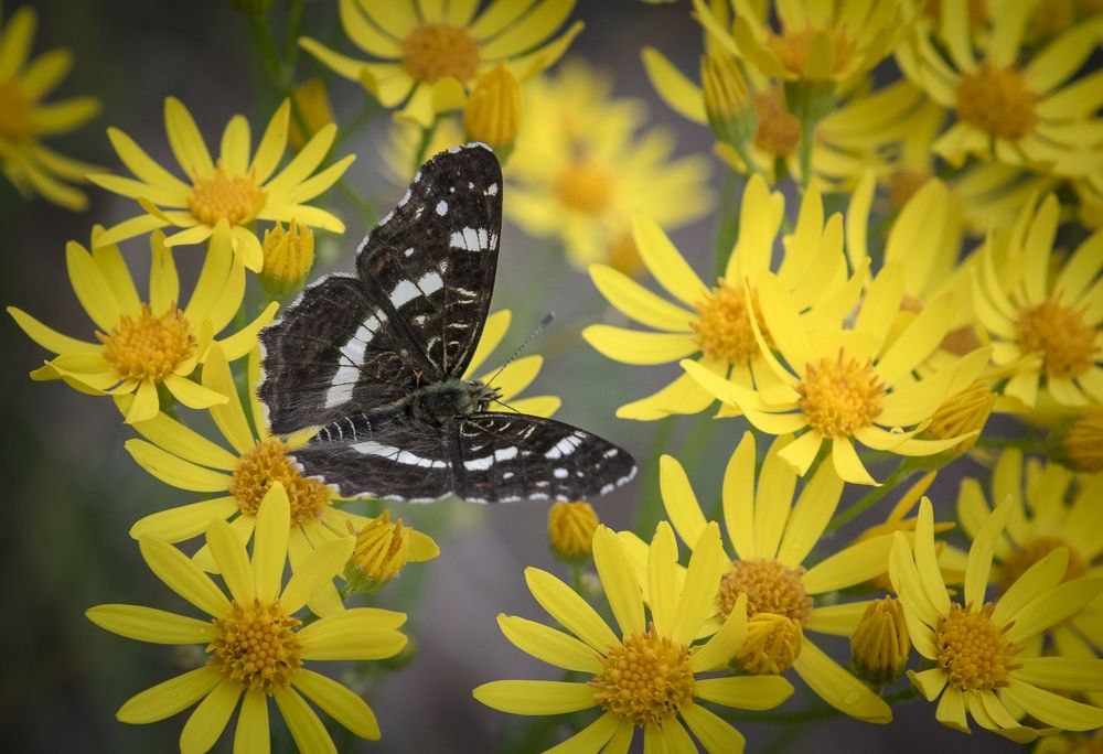Photograph by Виктор Рыков