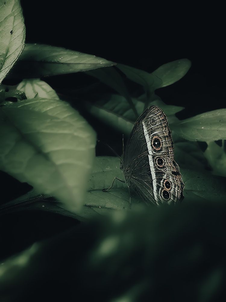 Photograph by mufi pk