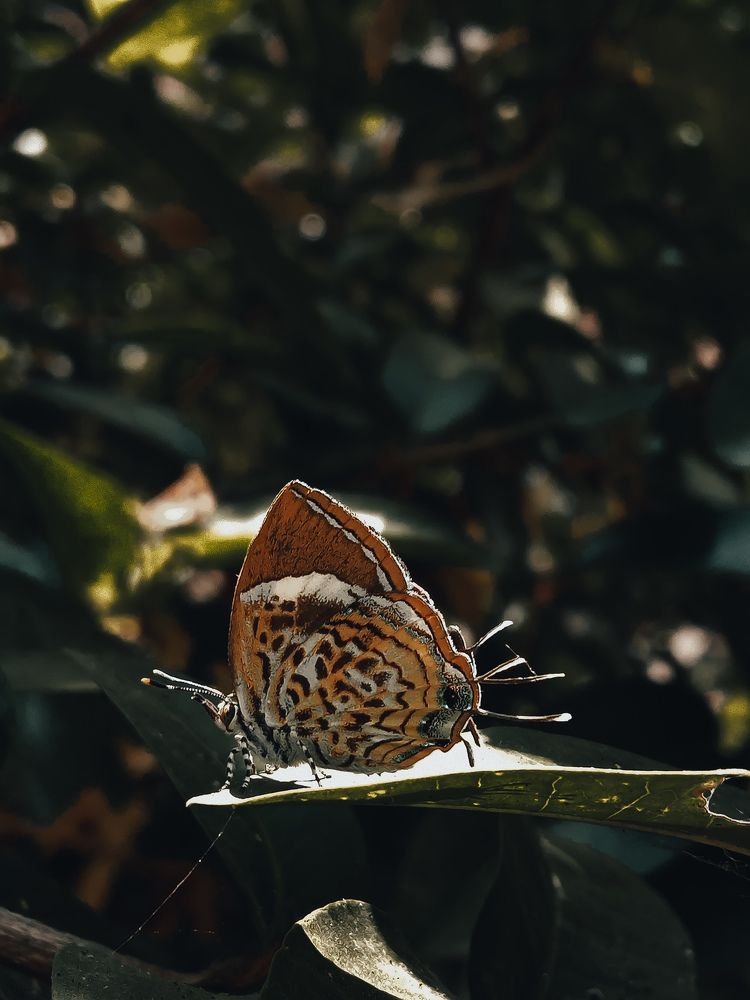 Photograph by mufi pk