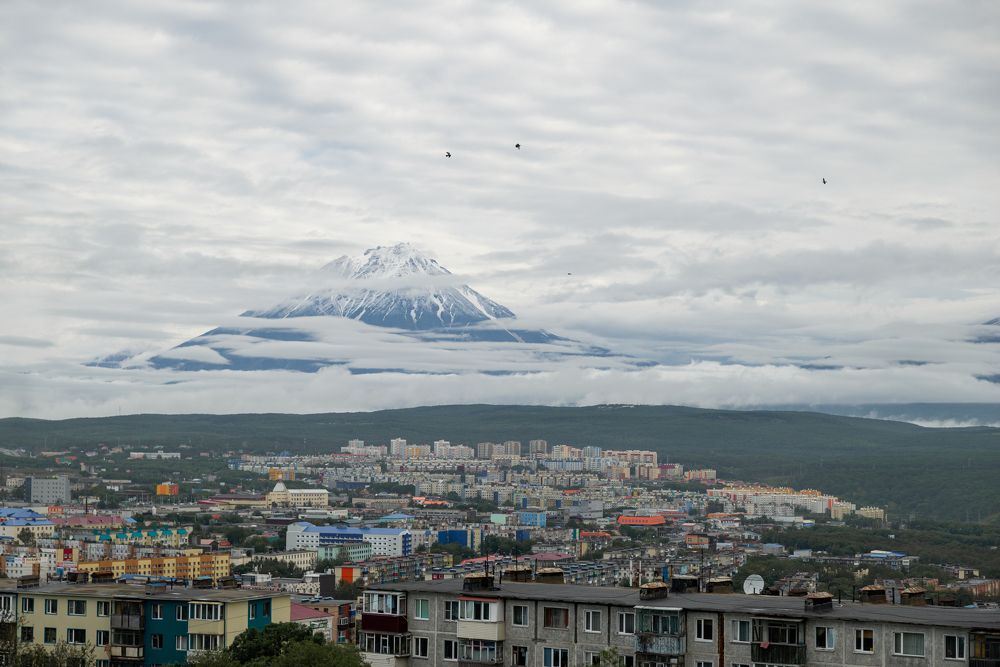 Photograph by Natalie Lamm