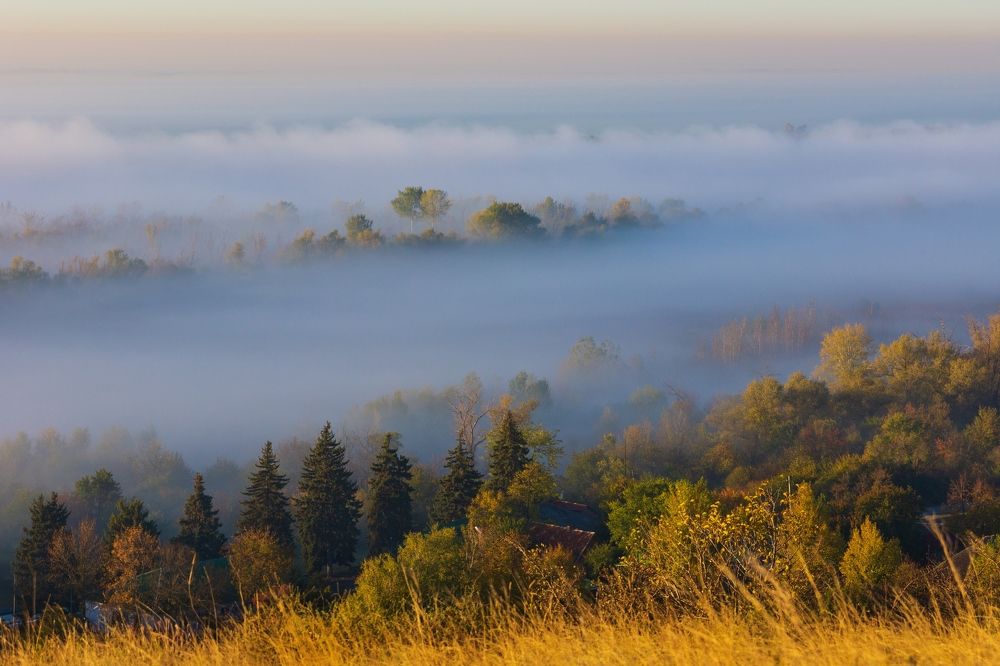 Острова туманной реки