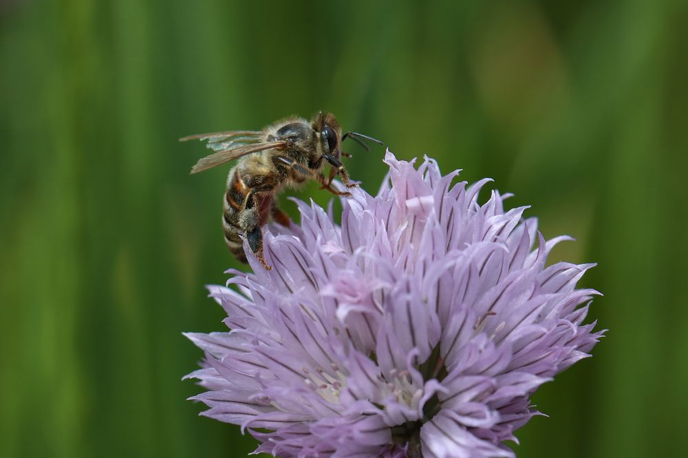 Photograph by Надежда Зайцева