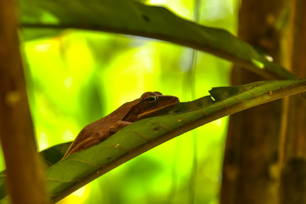 Photograph by Pujo Cahyono