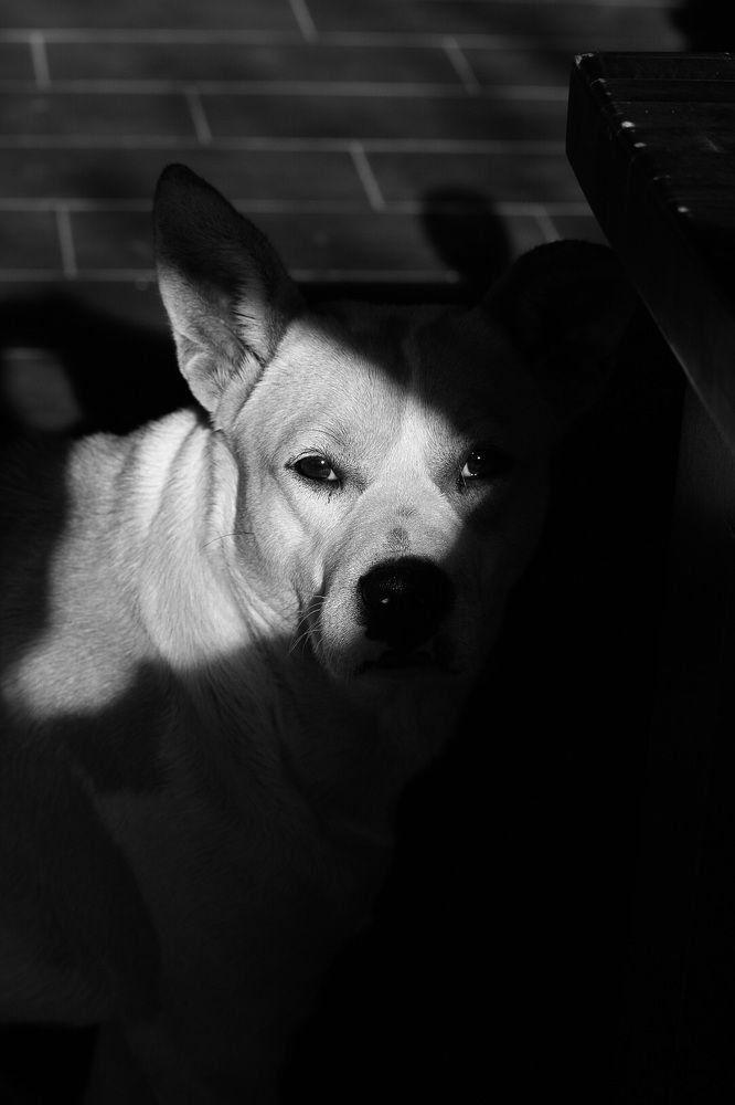 Фотография автора Daniela Stanojkovska